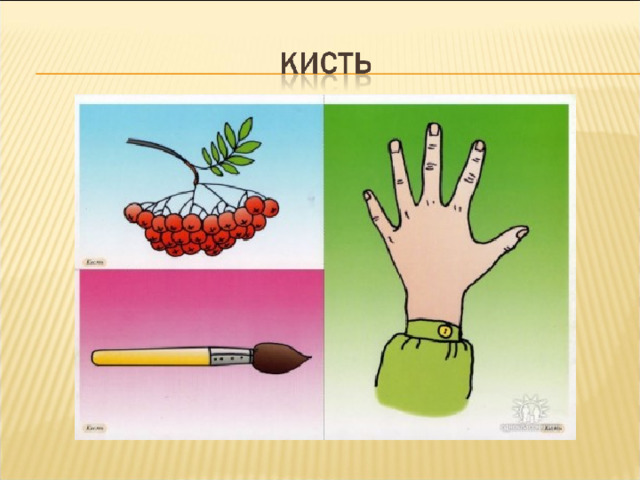 Многозначные слова картинки для детей