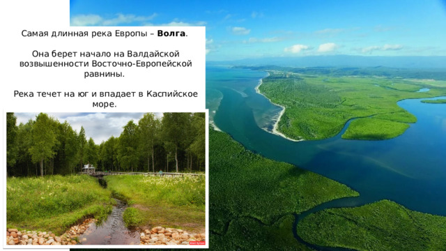 Самая длинная река Европы – Волга . Она берет начало на Валдайской возвышенности Восточно-Европейской равнины. Река течет на юг и впадает в Каспийское море. 