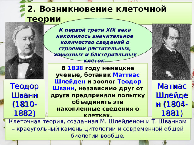 2. Возникновение клеточной теории К первой трети XIX века накопилось значительное количество сведений о строении растительных, животных и бактериальных клеток. В 1838 году немецкие ученые, ботаник Маттиас Шлейден и зоолог Теодор Шванн , независимо друг от друга предприняли попытку объединить эти накопленные сведения о клетках. Теодор Шванн (1810-1882) Матиас Шлейден (1804-1881) Клеточная теория, созданная М. Шлейденом и Т. Шванном – краеугольный камень цитологии и современной общей  биологии вообще. 