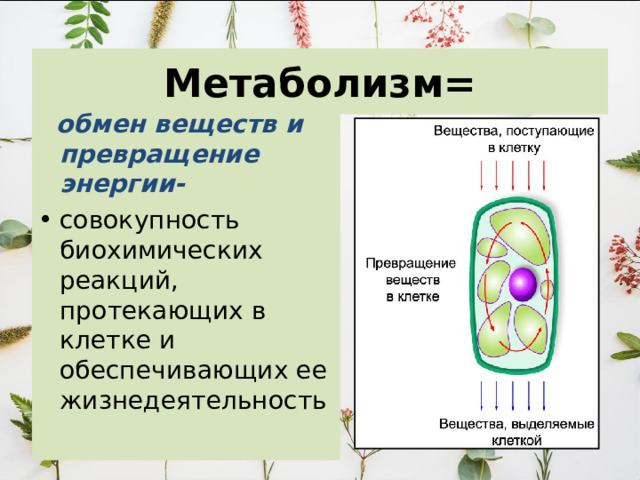 Метаболизм=  обмен веществ и превращение энергии- совокупность биохимических реакций, протекающих в клетке и обеспечивающих ее жизнедеятельность 