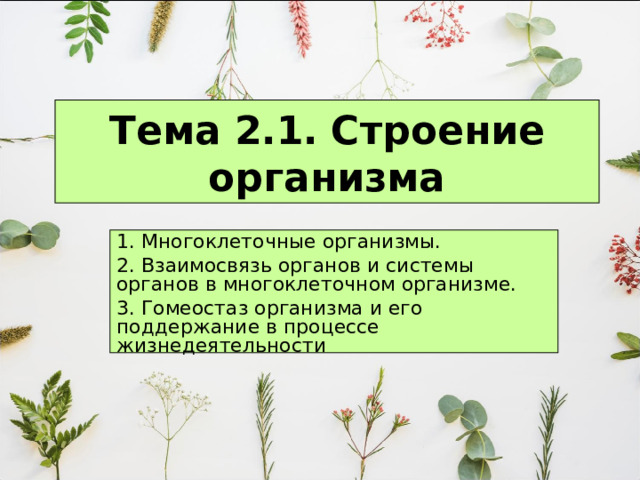 Тема 2.1.  Строение организма 1. Многоклеточные организмы. 2. Взаимосвязь органов и системы органов в многоклеточном организме. 3. Гомеостаз организма и его поддержание в процессе жизнедеятельности 