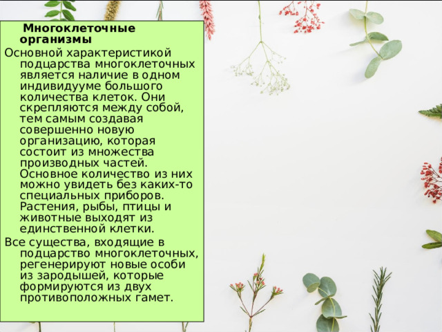  Многоклеточные организмы Основной характеристикой подцарства многоклеточных является наличие в одном индивидууме большого количества клеток. Они скрепляются между собой, тем самым создавая совершенно новую организацию, которая состоит из множества производных частей. Основное количество из них можно увидеть без каких-то специальных приборов. Растения, рыбы, птицы и животные выходят из единственной клетки. Все существа, входящие в подцарство многоклеточных, регенерируют новые особи из зародышей, которые формируются из двух противоположных гамет. 