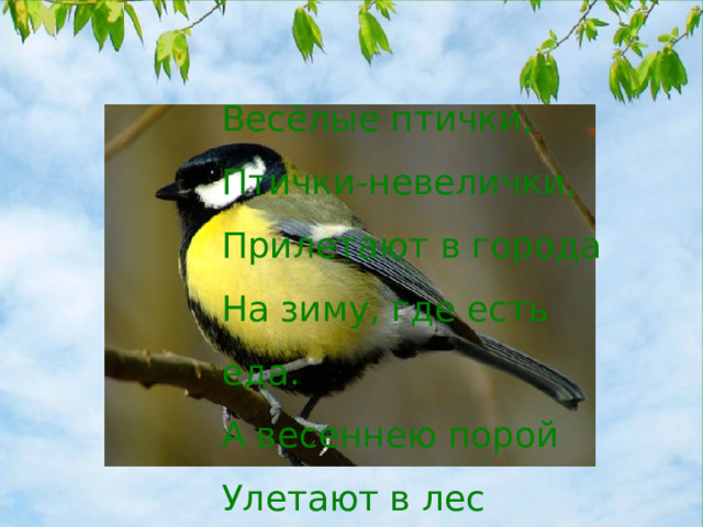 Весёлые птички, Птички-невелички, Прилетают в города На зиму, где есть еда. А весеннею порой Улетают в лес родной.  (Л. Громова) 