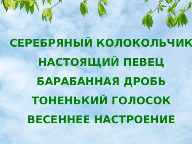 СЕРЕБРЯНЫЙ КОЛОКОЛЬЧИК НАСТОЯЩИЙ ПЕВЕЦ БАРАБАННАЯ ДРОБЬ ТОНЕНЬКИЙ ГОЛОСОК ВЕСЕННЕЕ НАСТРОЕНИЕ 