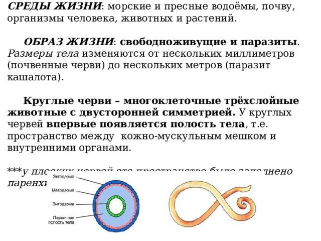 Пространство между стенкой тела и внутренними органами у кольчатых червей разделено перегородками на