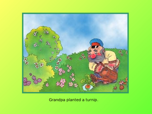 Grandpa planted a turnip. 