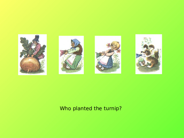 Who planted the turnip? 