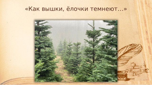 «Как вышки, ёлочки темнеют…» 