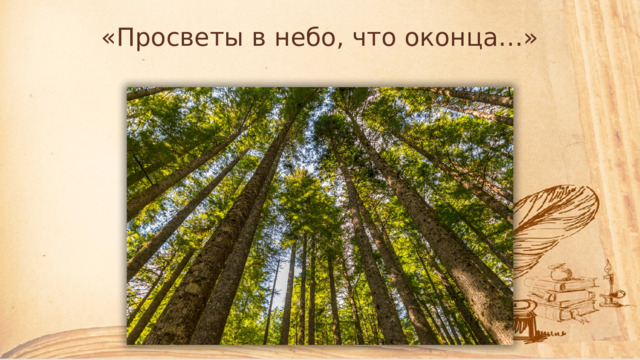 «Просветы в небо, что оконца…» 