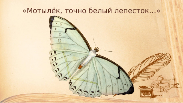 «Мотылёк, точно белый лепесток…» 