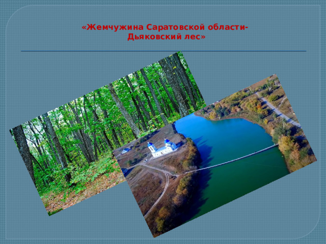  «Жемчужина Саратовской области-  Дьяковский лес» 