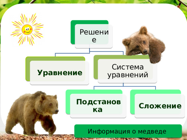 Решение Система уравнений Уравнение Подстановка  Сложение  Информация о медведе 