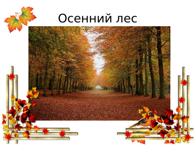 Осенний лес 
