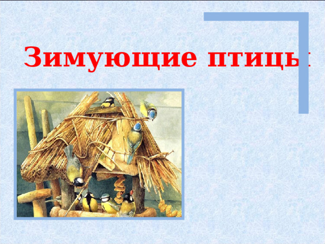 Зимующие птицы 