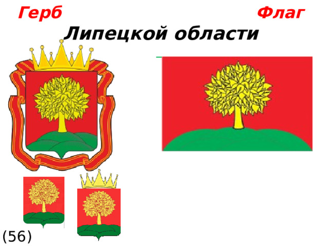  Герб  Флаг  Липецкой области  (56)  