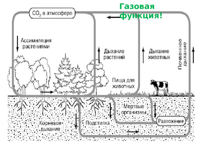 Газовая функция! 