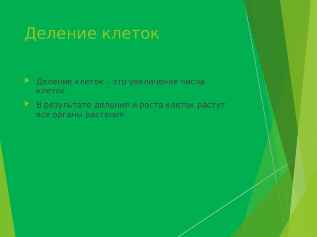 Деление клеток Деление клеток – это увеличение числа клеток. В результате деления и роста клеток растут все органы растения. 