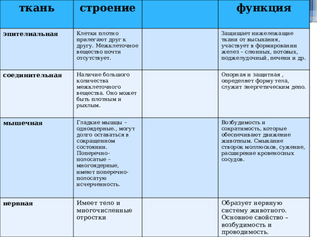 ткань строение эпителиальная Клетки плотно прилегают друг к другу. Межклеточное вещество почти отсутствует. соединительная функция Наличие большого количества межклеточного вещества. Оно может быть плотным и рыхлым. мышечная Защищает нижележащие ткани от высыхания, участвует в формировании желез – слюнных, потовых, поджелудочный, печени и др. Гладкие мышцы – одноядерные., могут долго оставаться в сокращенном состоянии. Поперечно-полосатые – многоядерные, имеют поперечно-полосатую исчерченность. нервная Опорная и защитная , определяет форму тела, служит энергетическим депо. Имеет тело и многочисленные отростки Возбудимость и сократимость, которые обеспечивают движение животным. Смыкание створок моллюсков, сужение, расширение кровеносных сосудов. Образует нервную систему животного. Основное свойство – возбудимость и проводимость. 