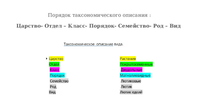 С помощью атласа приведите примеры представителей царств Shtampik.com