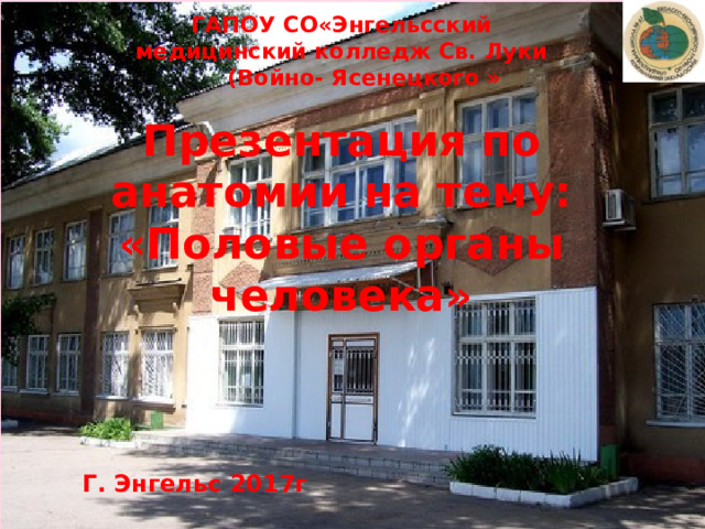 ГАПОУ СО«Энгельсский медицинский колледж Св. Луки (Войно- Ясенецкого » Презентация по анатомии на тему: «Половые органы человека» Г. Энгельс 2017г 