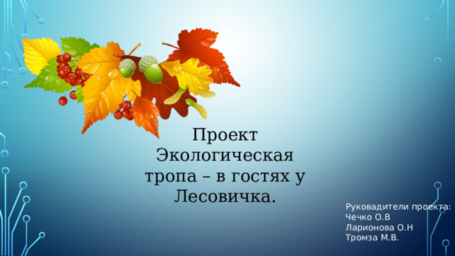 Проект Экологическая тропа – в гостях у Лесовичка. Руковадители проекта: Чечко О.В Ларионова О.Н Тромза М.В. 