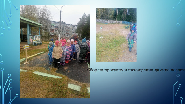 Сбор на прогулку и нахождения домика лесовичка 
