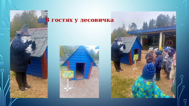 В гостях у лесовичка 