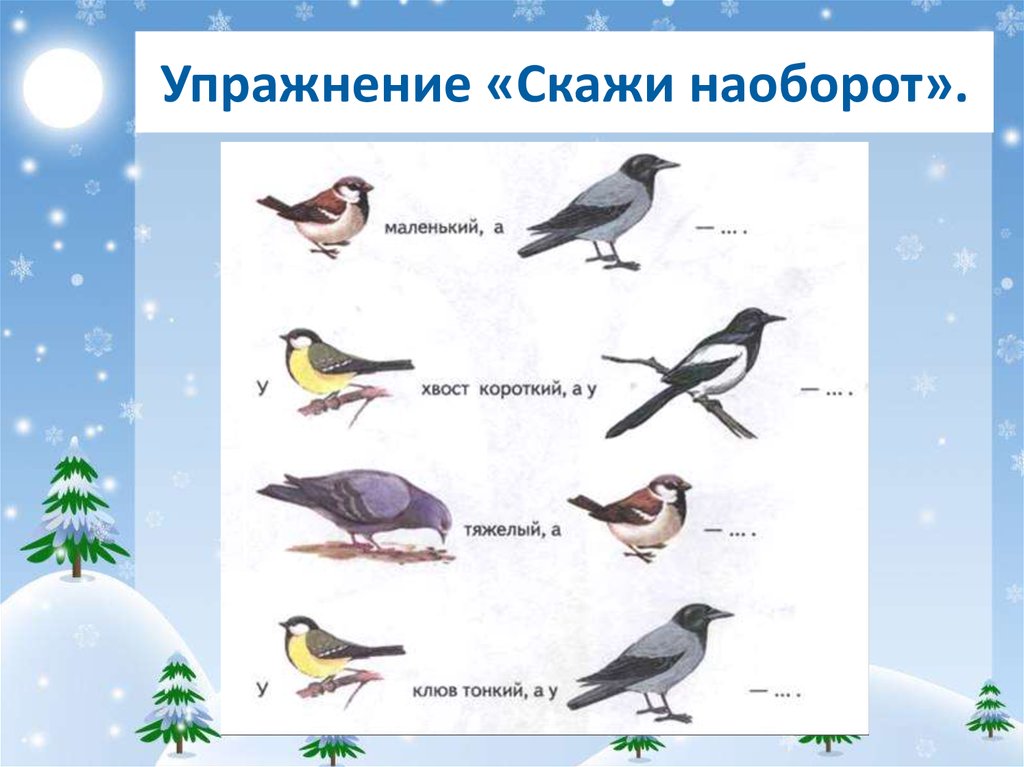 Технологическая карта занятия зимующие птицы Конспект занятия по внеурочной деятельности. Тема: "Покормите птиц зимой!