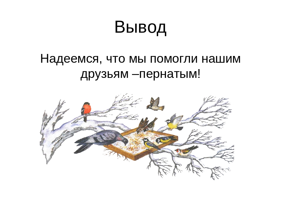 Рассмотрите рисунок и продолжите инструкцию о том как сделать птичью столовую