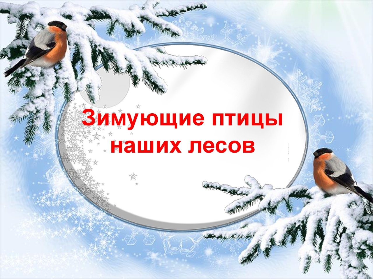 Конспект занятия по внеурочной деятельности. Тема: «Покормите птиц зимой!»