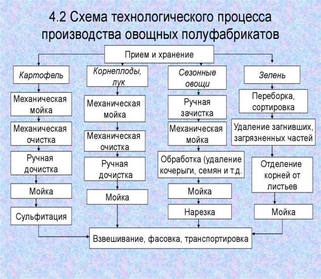 Технологическая схема процесса обработки овощей Производственное обучение. Учебная практика. Профессия 16675 ПОВАР. Лекционный м