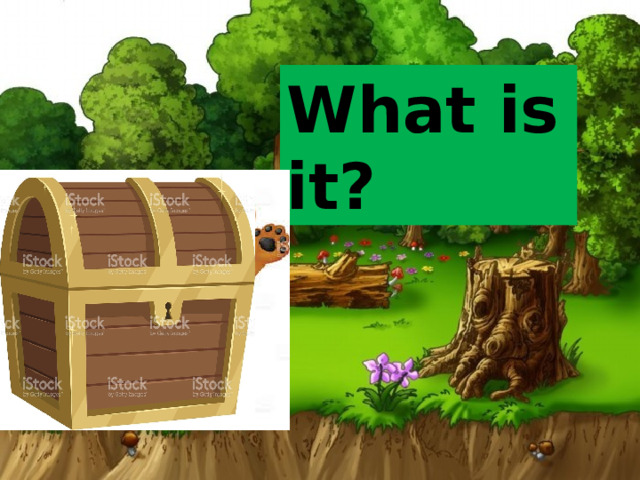 What is it? What is it? – a bear  