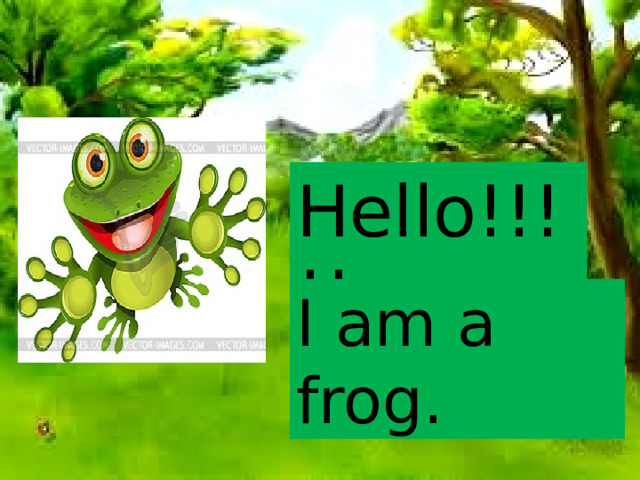 Hello!!!!! I am a frog. Ознакомление с новой лексикой на тему «Животные». A frog - лягушка  