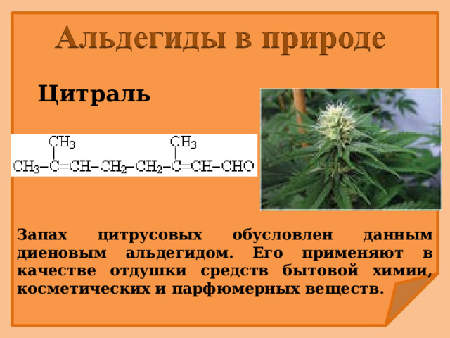 Цитраль Запах цитрусовых обусловлен данным диеновым альдегидом. Его применяют в качестве отдушки средств бытовой химии, косметических и парфюмерных веществ. 