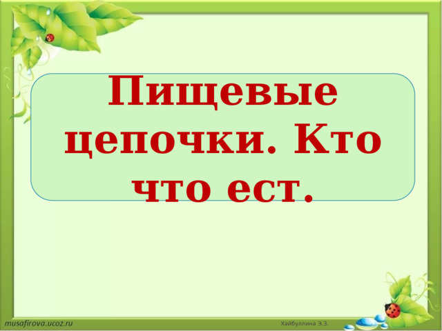 Пищевые цепочки. Кто что ест. Хайбуллина Э.З. 