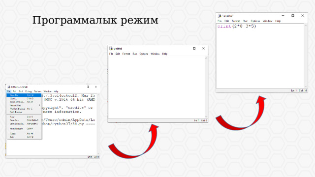 Программалык режим 