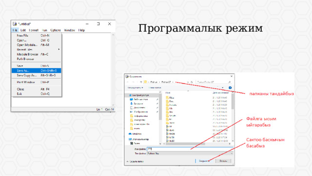 Программалык режим 