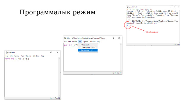 Программалык режим 