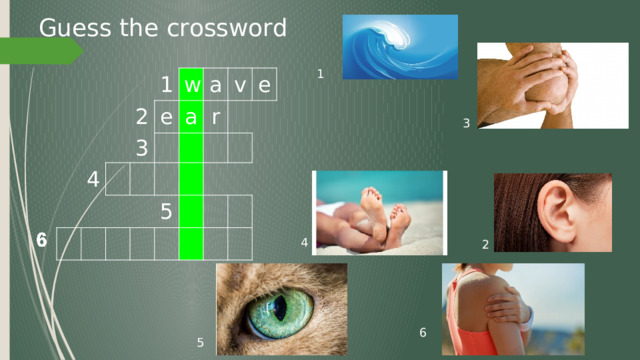 Guess the crossword 1 1 2 4 w 3 e a a v r e 5 3 4 2 6 5 