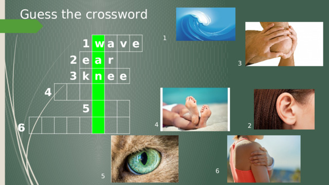 Guess the crossword 1 1 2 4 w e 3 a a k v n r e 5 e e 3 4 2 6 5 