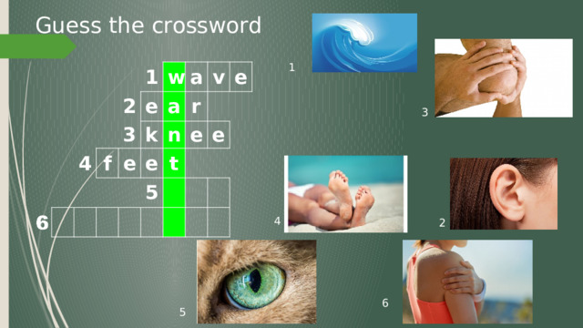 Guess the crossword 1 1 2 4 w e 3 f a e a k v e n r e 5 e t e 3 4 2 6 5 