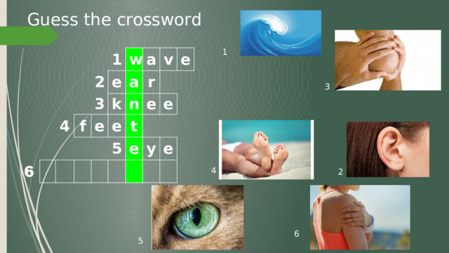 Guess the crossword 1 1 2 4 w e 3 f a a e k v r n e e t e 5 e e y e 3 4 2 6 5 