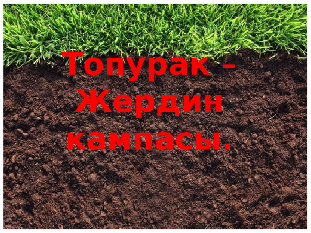 Топурак – Жердин кампасы.   