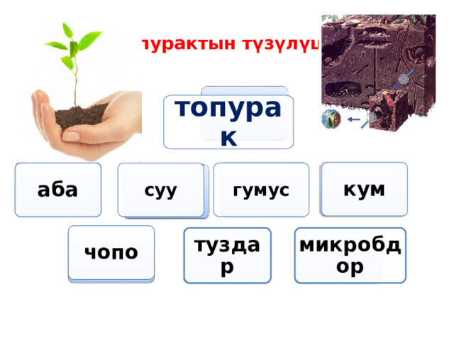Топурактын түзүлүшү топурак кум аба суу гумус чопо туздар микробдор 
