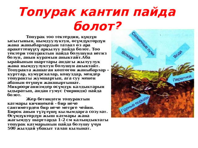 Топурак кантип пайда болот?  Топурак тоо тектердин, күндүн ысыгынын, нымдуулуктун, өсүмдүктөрдүн жана жаныбарлардын татаал өз ара аракеттенүүсү аркылуу пайда болот. Тоо тектери топурактын пайда болушуна негиз болуп, анын курамын аныктайт.Аба ырайынын шарттары андагы жылуулук жана нымдуулуктун болушун аныктайт. Топуракта жашаган көптөгөн жаныбарлар – курттар, кумурскалар, коңуздар, меңдер топуракты жумшартып, ага суу менен абанын өтүшүн жакшыртышат. Микроорганизмдер өсүмдүк калдыктарын ыдыратып, андан гумус (чиринди) пайда болот.   Жер бетиндеги топурактын катмары кичинекей - бир нече сантиметрден бир нече метрге чейин. Бирок анын түзүлүшү кылымдарга созулат. Өсүмдүктөрдүн жыш катмары жана жагымдуу шарттарда 1-2 см калыңдыктагы топурак катмарынын пайда болушу үчүн 500 жылдай убакыт талап кылынат.   