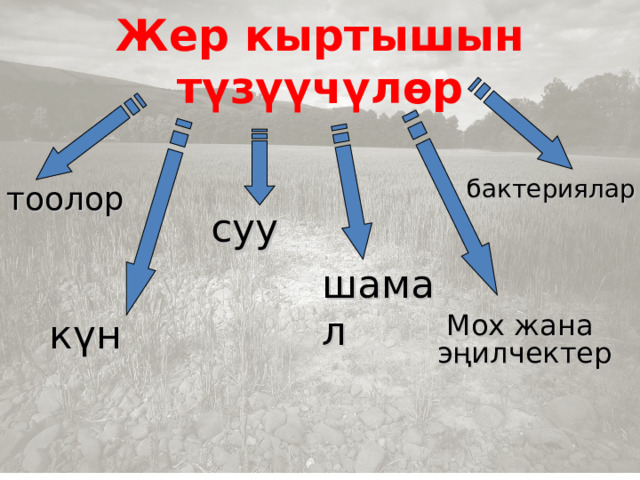 Жер кыртышын түзүүчүлөр бактериялар тоолор суу шамал күн Мох жана эңилчектер 