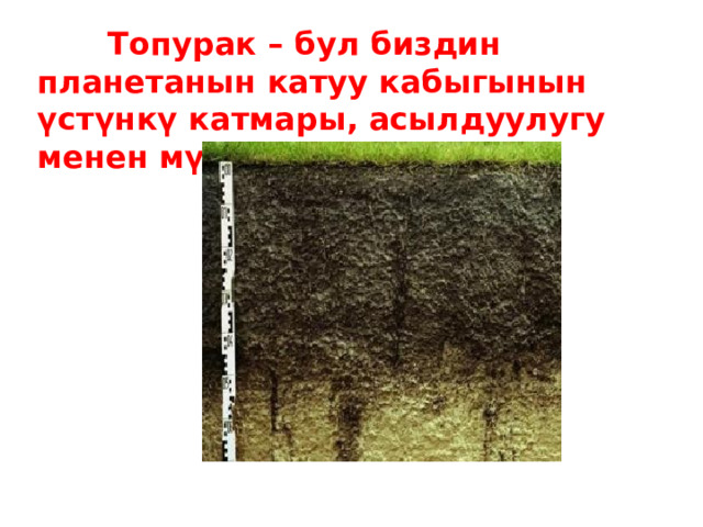  Топурак – бул биздин планетанын катуу кабыгынын үстүнкү катмары, асылдуулугу менен мүнөздөлөт.    