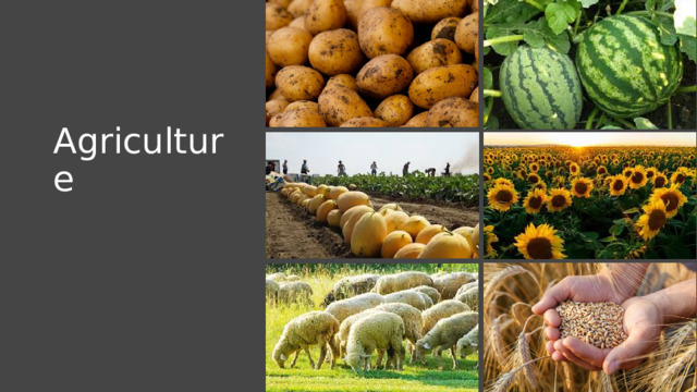 Agriculture 