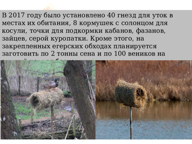 В 2017 году было установлено 40 гнезд для уток в местах их обитания, 8 кормушек с солонцом для косули, точки для подкормки кабанов, фазанов, зайцев, серой куропатки. Кроме этого, на закрепленных егерских обходах планируется заготовить по 2 тонны сена и по 100 веников на зимний период бескормицы. 