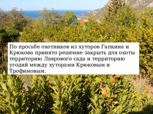 По просьбе охотников из хуторов Гапкина и Крюкова принято решение закрыть для охоты территорию Лаврового сада и территорию угодий между хуторами Крюковым и Трофимовым. 